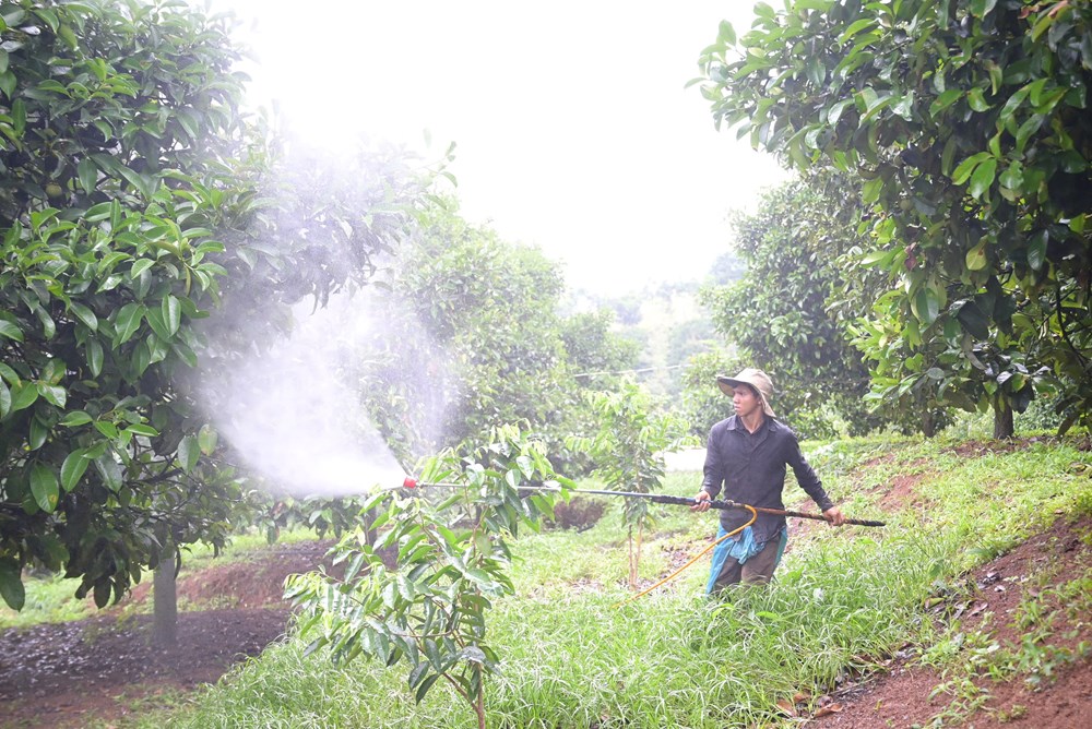 Hiện thực hóa EPR trong xử lý rác thải nông nghiệp - ảnh 5