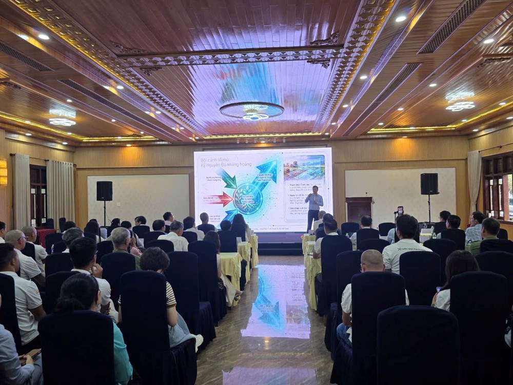 Quảng Ngãi phát triển du lịch bền vững từ tích hợp nông nghiệp, dược liệu và văn hóa - ảnh 3