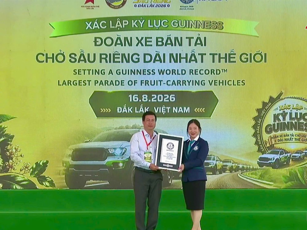 525 xe bán tải chở sầu riêng xác lập kỷ lục Guinness thế giới - ảnh 3