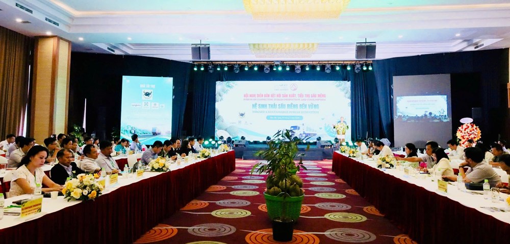 Gỡ điểm nghẽn, nâng tầm chuỗi giá trị sầu riêng Đắk Lắk - ảnh 1