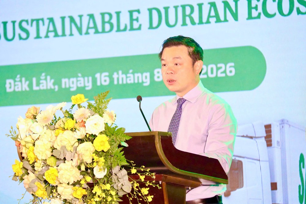 Gỡ điểm nghẽn, nâng tầm chuỗi giá trị sầu riêng Đắk Lắk - ảnh 3