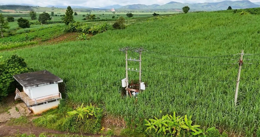 PC Quảng Ngãi kiên quyết ngăn chặn, xử lý hành vi trộm cắp vật tư lưới điện - ảnh 1