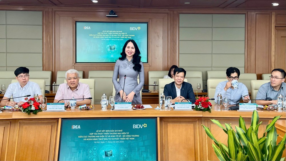 Triển khai các giải pháp hỗ trợ doanh nghiệp Việt Nam phát triển thương mại điện tử - ảnh 3