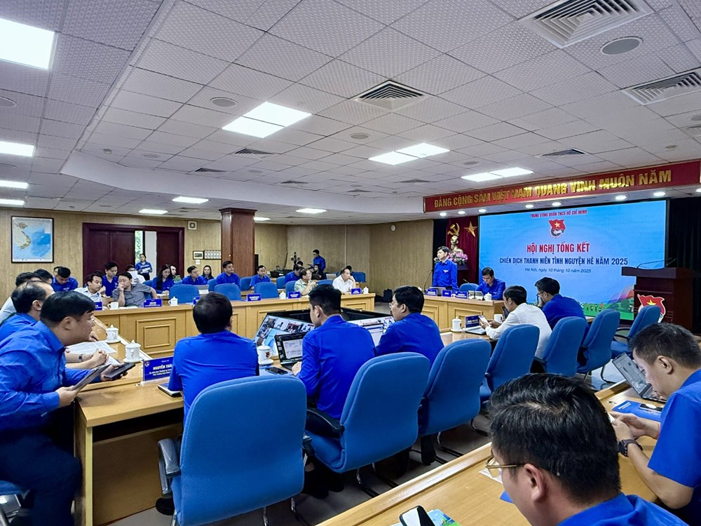 Hơn 11,3 triệu đoàn viên thanh niên tham gia, vượt 13,7% chỉ tiêu đề ra - ảnh 1