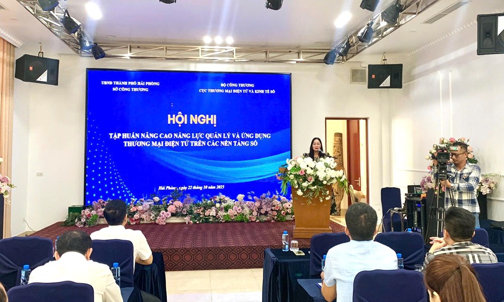 Hải Phòng: Đẩy mạnh chuyển đổi số trong quản lý và phát triển thương mại điện tử - ảnh 1
