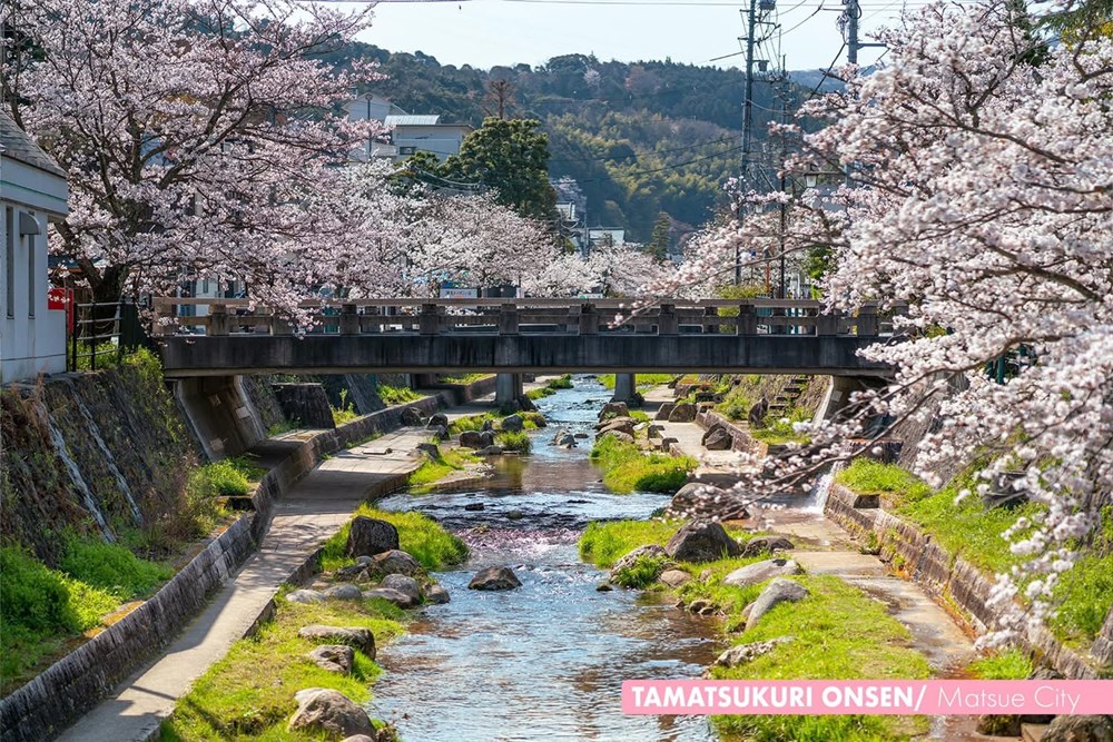 Nhật Bản kích cầu du lịch địa phương năm 2026: Tiềm năng mới từ Shimane và Shizuoka - ảnh 6