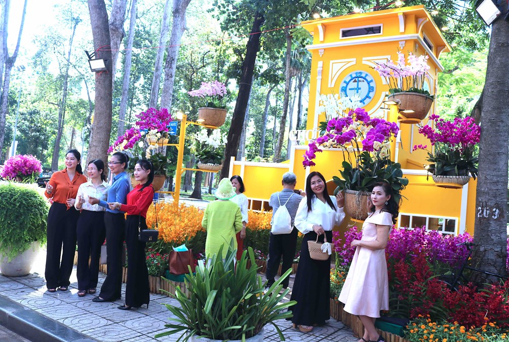 TP.HCM: Khai mạc Festival hoa lan lần 3 năm 2025 - ảnh 6