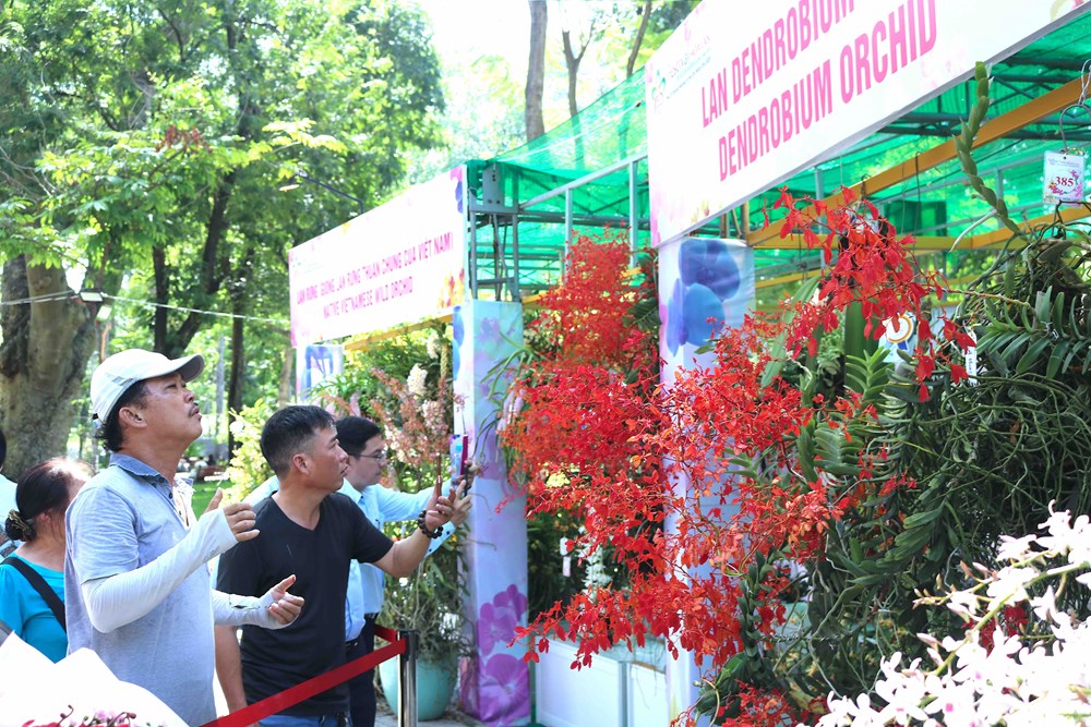 TP.HCM: Khai mạc Festival hoa lan lần 3 năm 2025 - ảnh 11