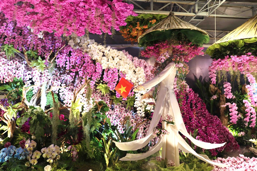 TP.HCM: Khai mạc Festival hoa lan lần 3 năm 2025 - ảnh 19