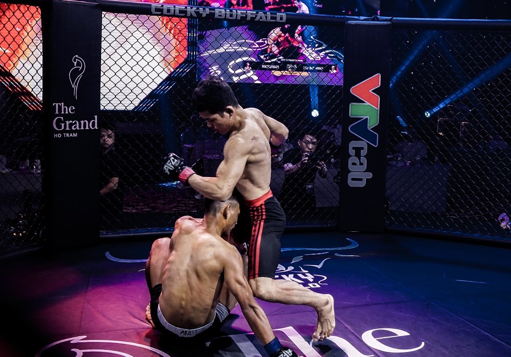 Đấu trường MMA đỉnh cao AFC trở lại Việt Nam - ảnh 3