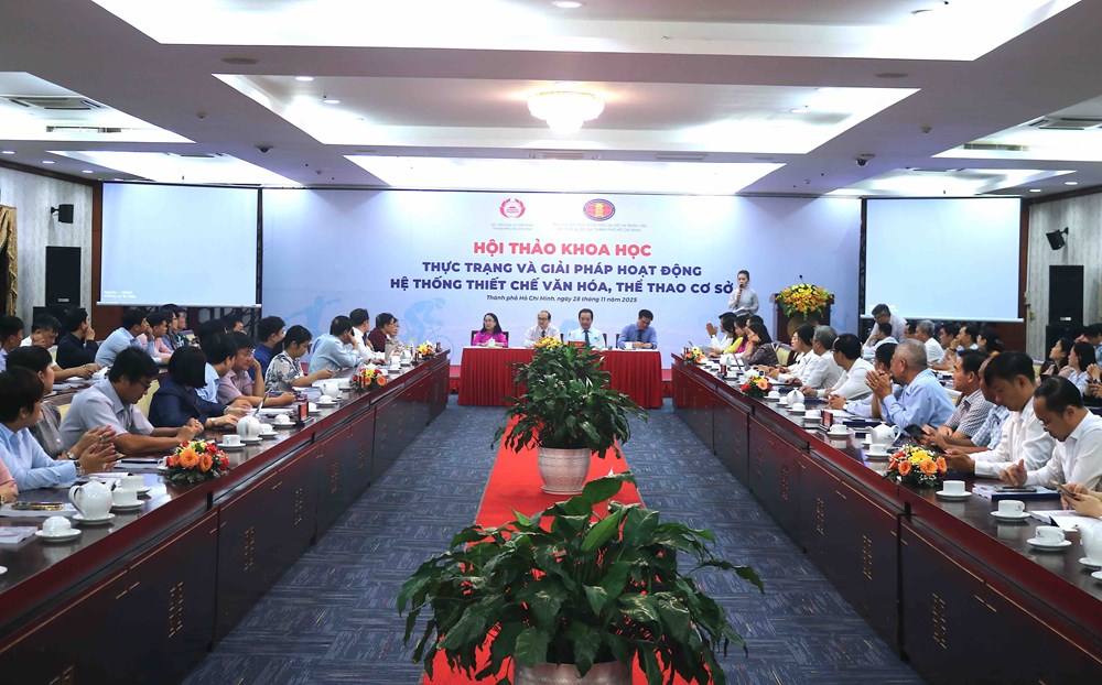 Thực trạng hệ thống thiết chế văn hóa, thể thao cơ sở tại TP.HCM - ảnh 1