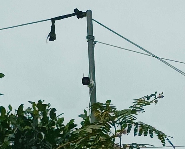 “Mắt thần” ngăn xả rác bừa bãi - ảnh 2