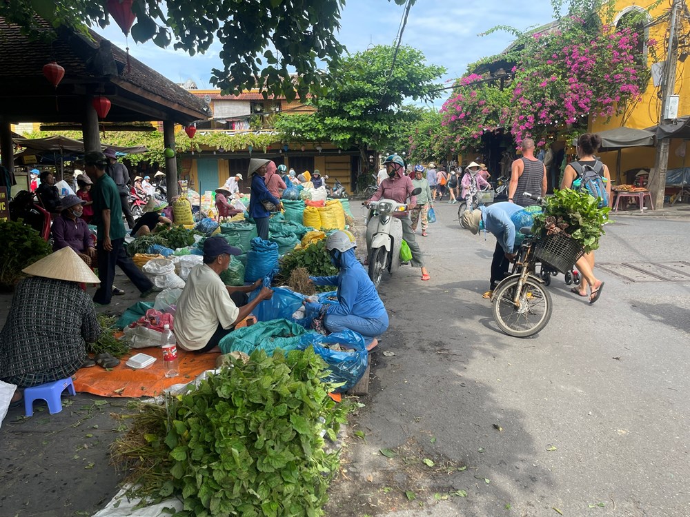 Chuyện những người “hái lá mùng năm” - ảnh 3