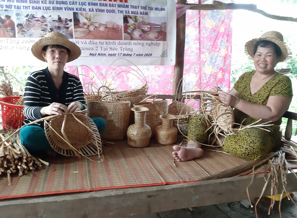 Nghề đan đát - mô hình sinh kế của chị em phụ nữ Ngã Năm - ảnh 1