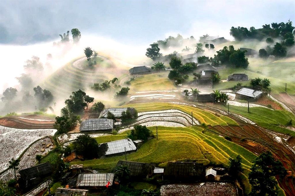 Khám phá mùa vàng giữa rừng xanh - ảnh 1