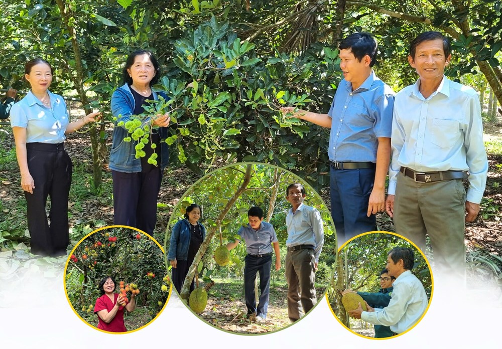 Đảng bộ Hành Minh nỗ lực chăm lo đời sống của người dân - ảnh 2