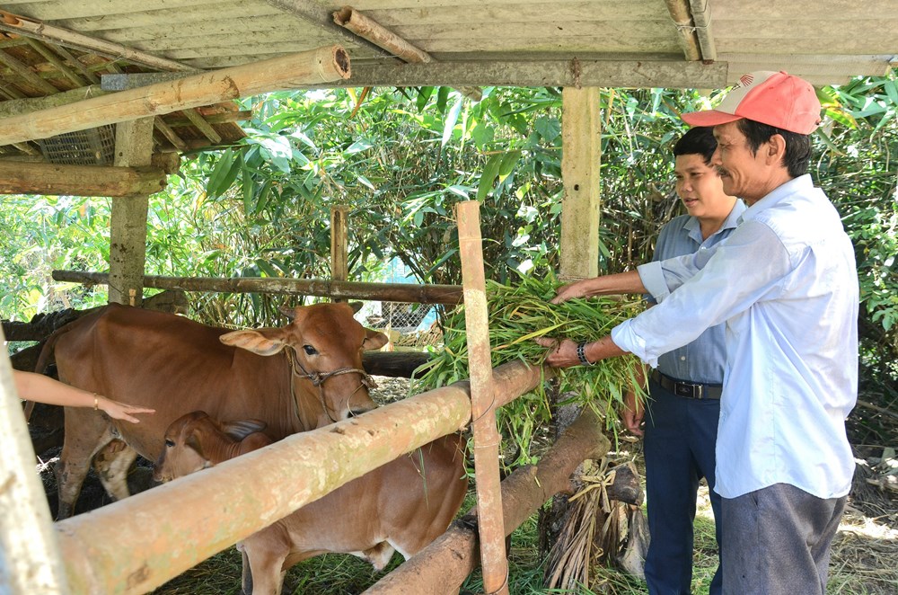 Đảng bộ Hành Minh nỗ lực chăm lo đời sống của người dân - ảnh 3