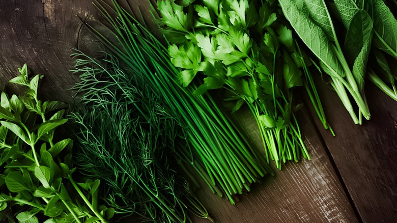 Thảo mộc bạn có thể trồng trong nhà bếp của mình mà không cần đất - ảnh 1