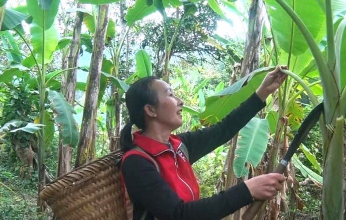 Nữ Bí thư nhiệt huyết nơi biên viễn - ảnh 2