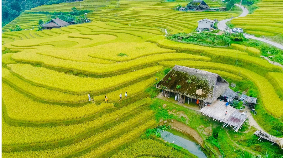 Sắc màu du Lịch Tây Bắc và TP.HCM tại Tuần Du lịch - Văn hóa Lai Châu 2024 - ảnh 2