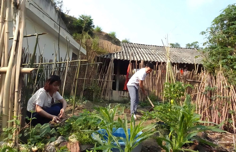 Ước mơ một chốn đi về sau hành trình “cắm bản” - ảnh 1
