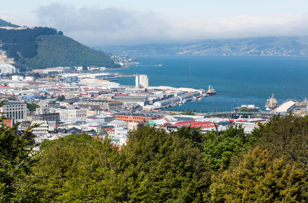 Tương lai u ám của New Zealand trong cơn khủng hoảng di cư - ảnh 2