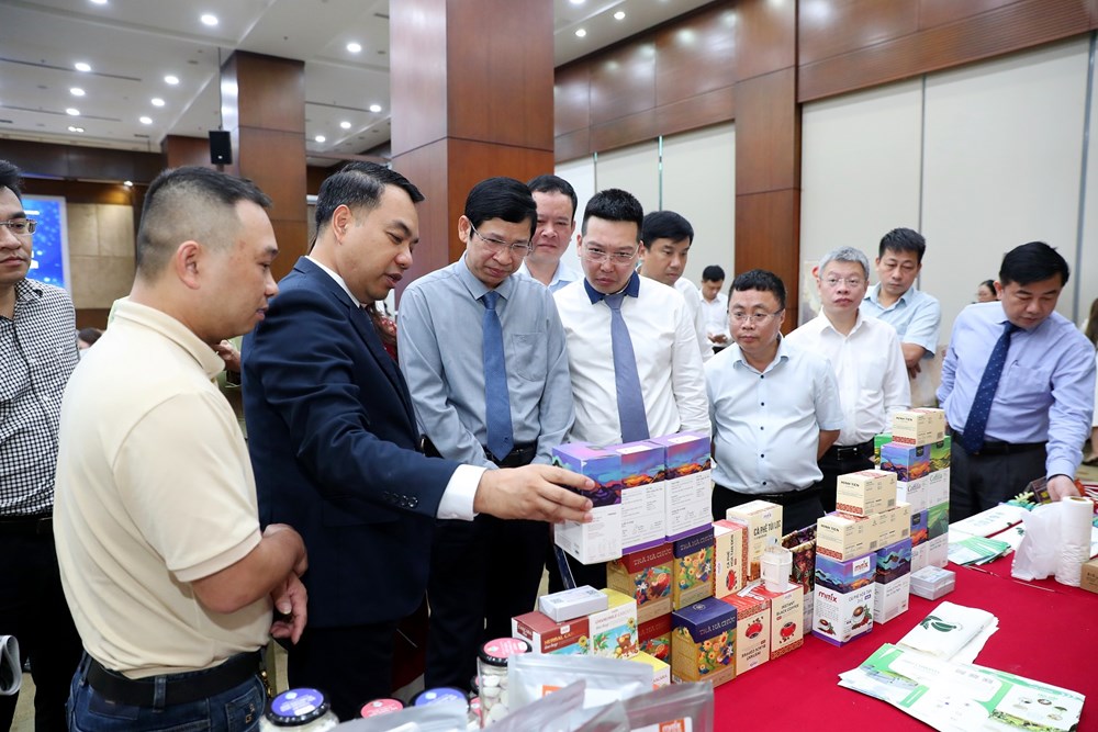 Làm gì cho sự đồng hành thực chất? - ảnh 1