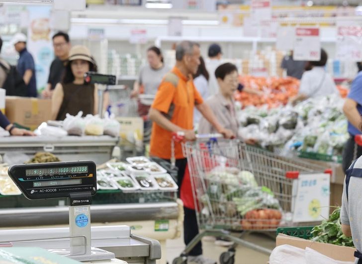 Chi phí sinh hoạt tại Hàn Quốc vượt xa mức trung bình OECD - ảnh 1