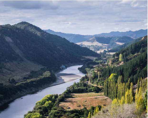 Người Mỹ giàu có đổ xô xin “thị thực vàng” New Zealand - ảnh 1