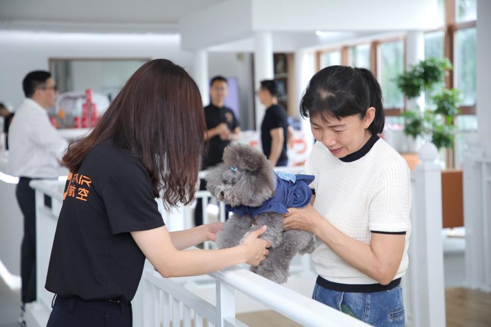 Nền kinh tế thú cưng tại Trung Quốc đang bùng nổ - ảnh 1