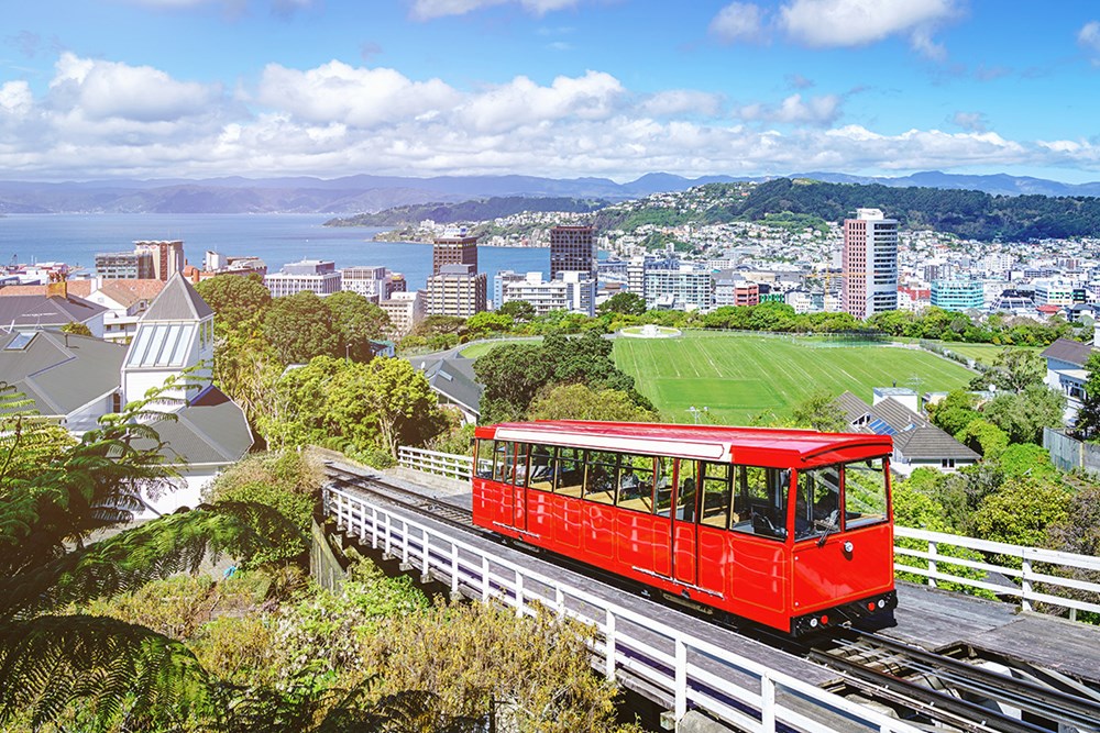 New Zealand đặt mục tiêu tăng gấp đôi thị trường giáo dục quốc tế vào năm 2034 - ảnh 1