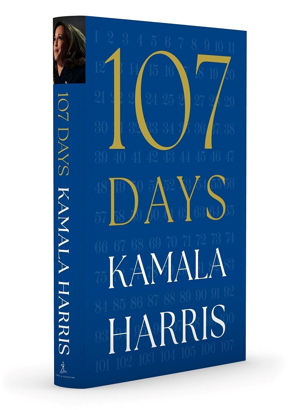 Bà Kamala Harris ra mắt hồi ký về chiến dịch tranh cử tổng thống - ảnh 2