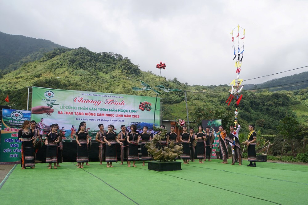 Tôn vinh di sản tri thức dân gian sâm Ngọc Linh - ảnh 3