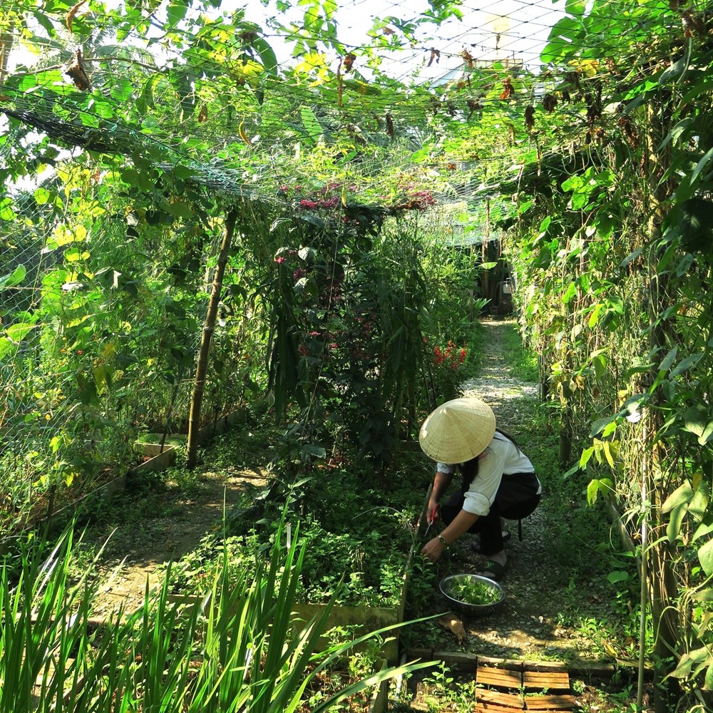  Du lịch Đà Nẵng tiếp cận xu thế “low carbon” - ảnh 1