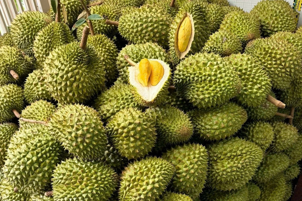 Giá sầu riêng ngày hôm nay 29.8 - ảnh 1