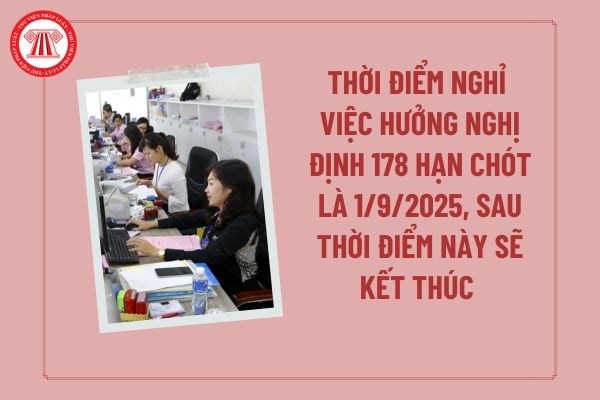Kết thúc chính sách nghỉ việc theo Nghị định 178 từ ngày 1.9 - ảnh 1