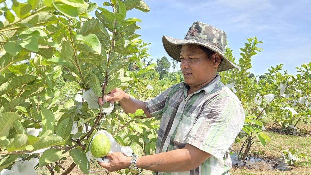 Người đảng viên Hrê gương mẫu làm theo lời Bác - ảnh 1