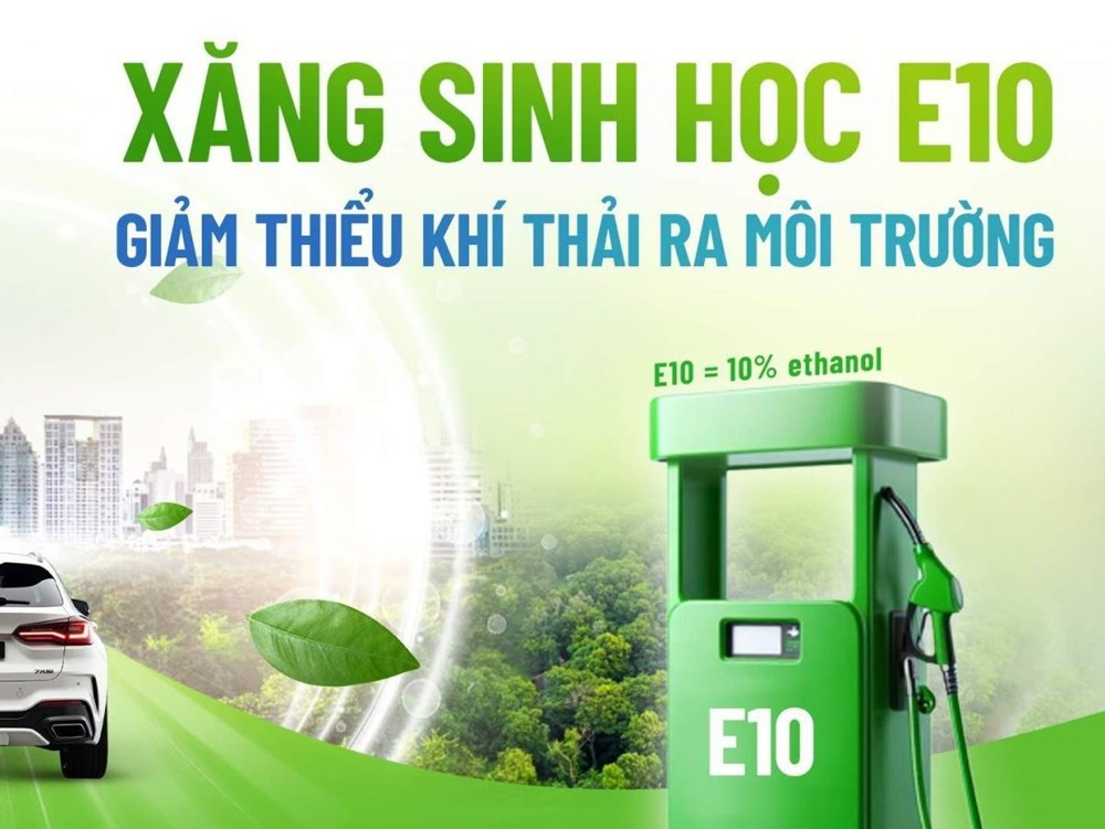 Xe nào dùng được, xe nào nên tránh? - ảnh 1