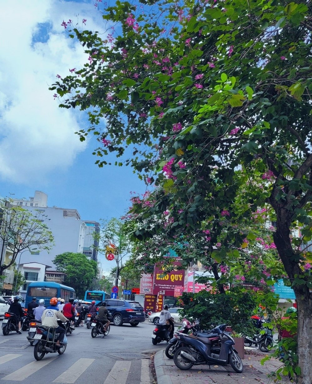 Đơn vị hành chính sẽ được xếp hạng thế nào theo dự thảo Nghị định mới? - ảnh 1