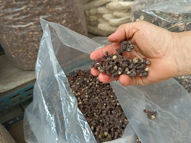 Thị trường thuốc giải rượu bùng nổ tại Hàn Quốc - ảnh 3