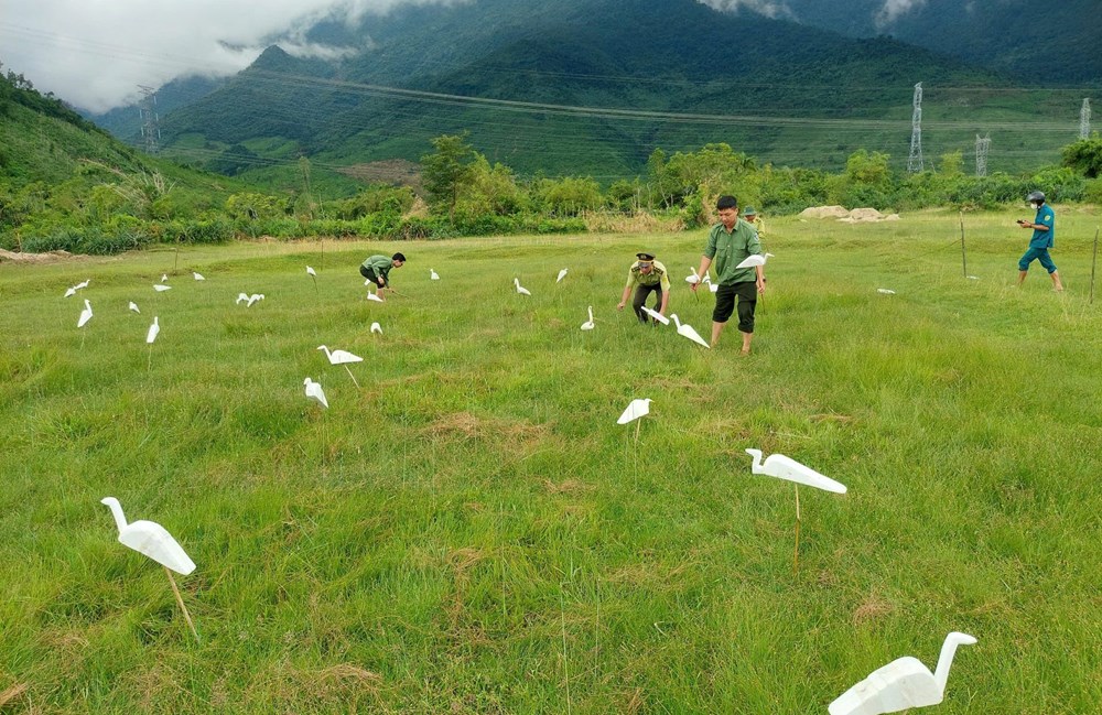 Báo động nạn “tận diệt” chim trời - ảnh 1
