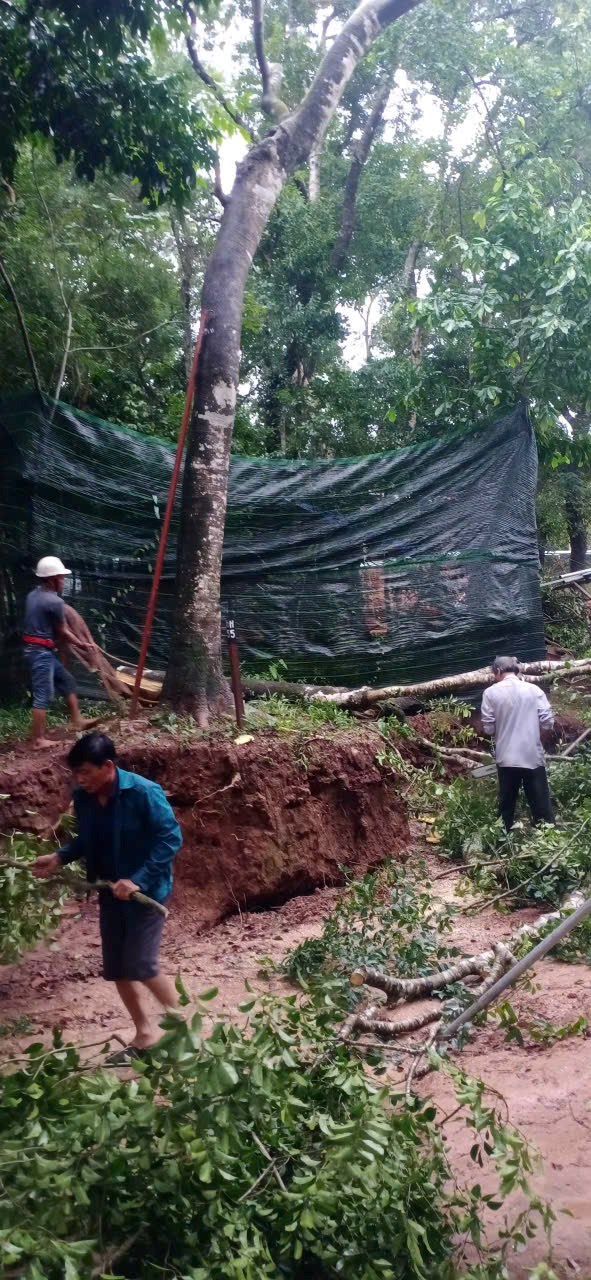 Rà soát, đánh giá tình trạng di sản Hội An, Mỹ Sơn sau mưa, lũ - ảnh 2