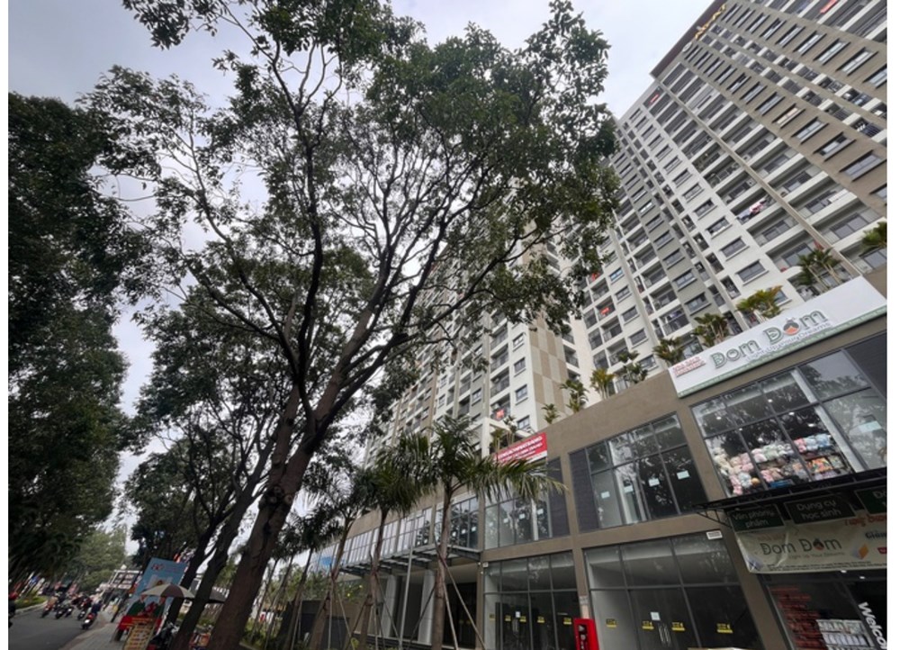 Đồng Nai giảm lãi suất cho vay nhà ở xã hội xuống 5,4%/năm - ảnh 1