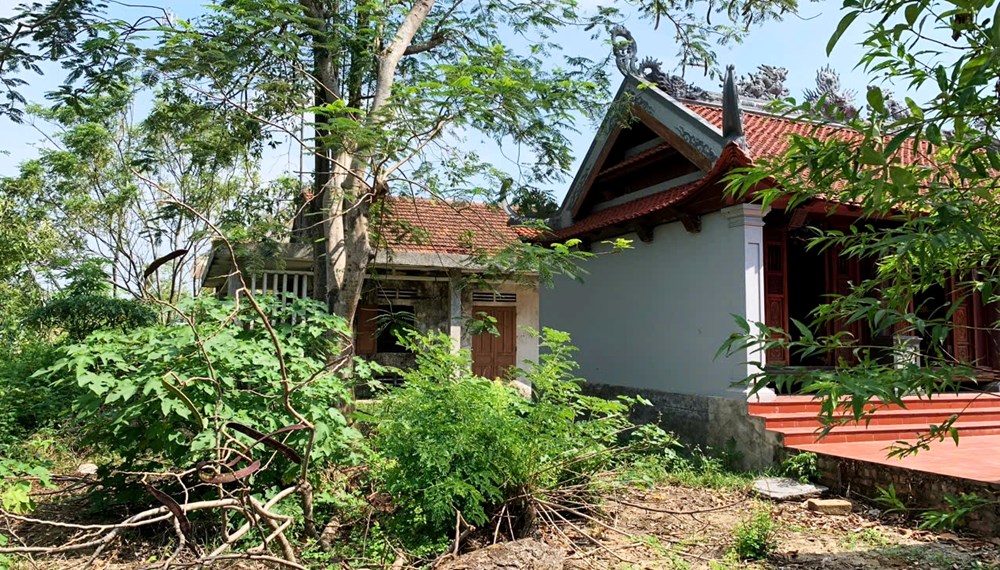  Vì sao dự án phục dựng đền Vua Lê vẫn dang dở? - ảnh 1