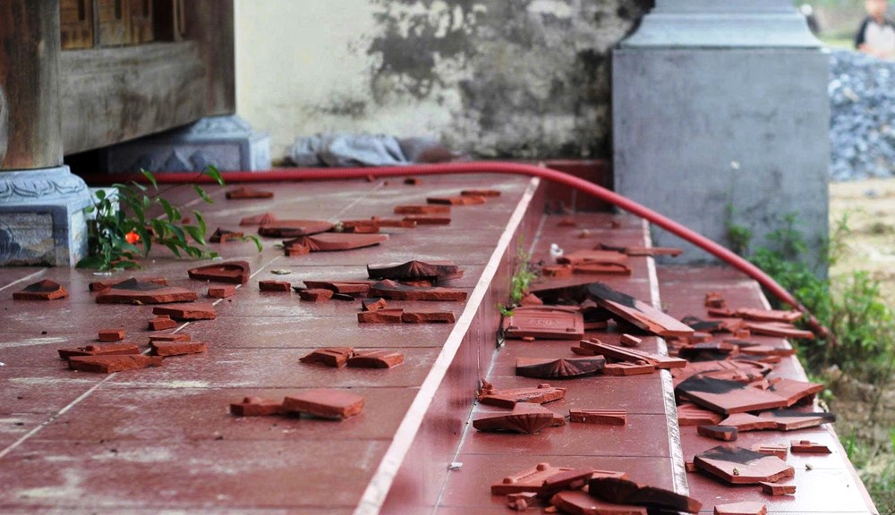  Vì sao dự án phục dựng đền Vua Lê vẫn dang dở? - ảnh 2