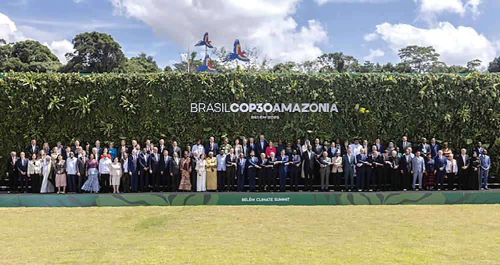 Khởi đầu cho “giấc mơ xanh” - ảnh 1