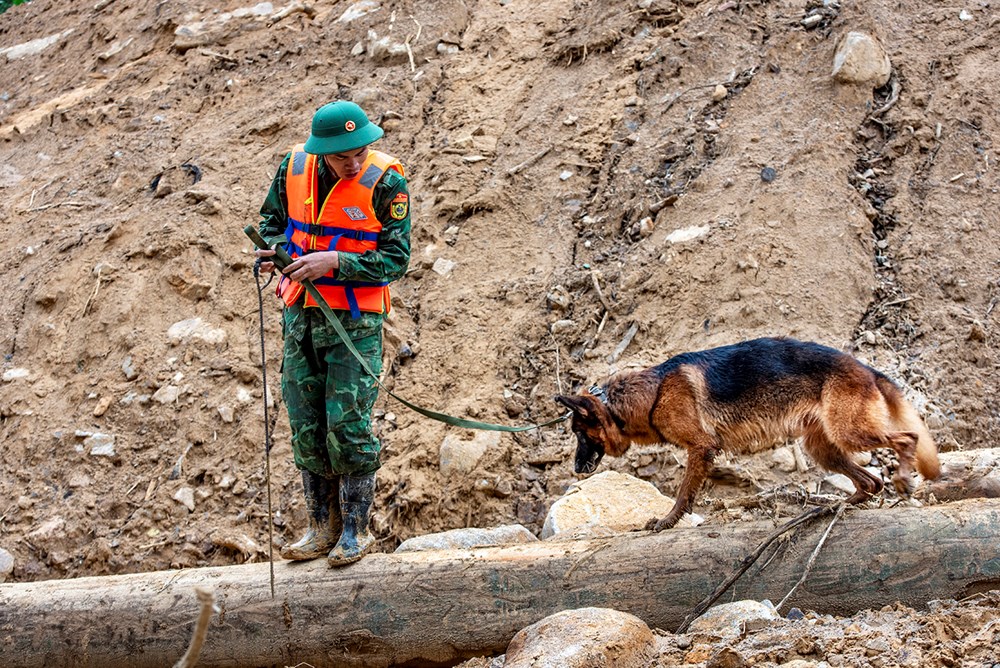 Lực lượng chức năng vượt vùng nguy hiểm tìm nạn nhân sạt lở tại Đà Nẵng - ảnh 3
