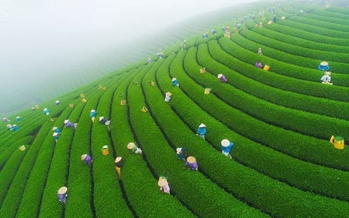 “Chạy trốn” cuối năm, đi tìm khoảng lặng sau một năm bộn bề - ảnh 2