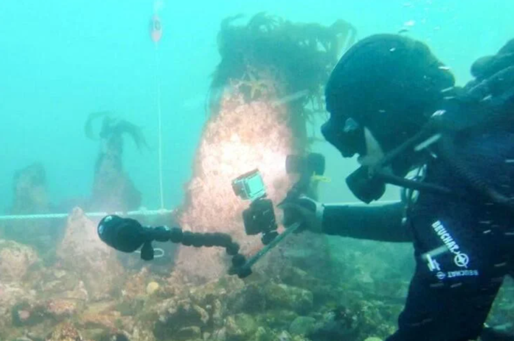 Phát hiện bức tường ngầm 7.000 năm tuổi ngoài khơi nước Pháp - ảnh 1