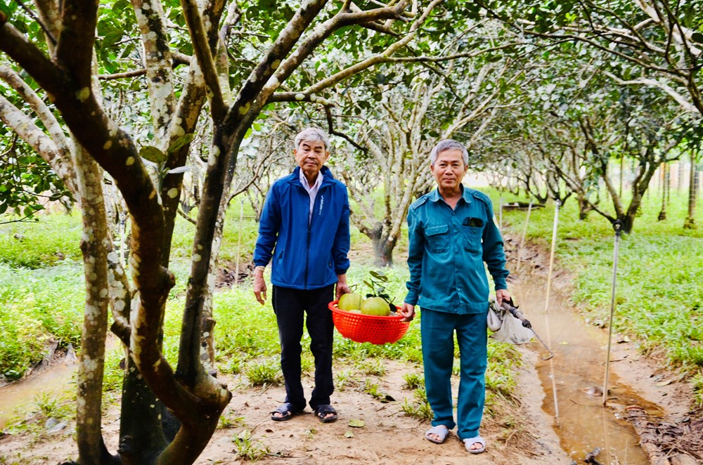 Khơi dậy ý chí vươn lên thoát nghèo - ảnh 2